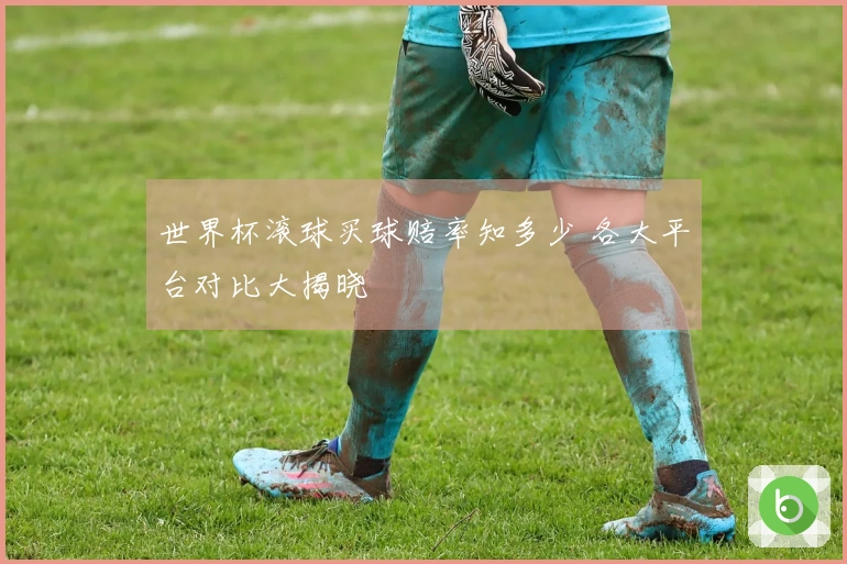 世界杯滚球买球赔率知多少 各大平台对比大揭晓