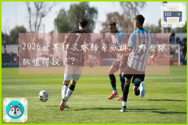 2026世界杯买球赔率分析：哪些球队值得投资？