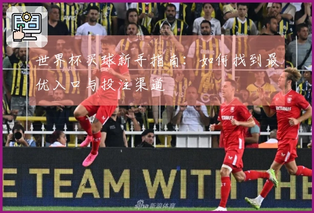 世界杯买球新手指南：如何找到最优入口与投注渠道