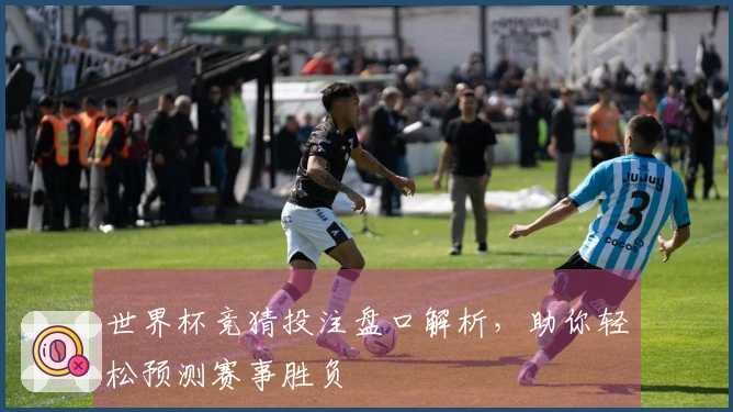 世界杯竞猜投注盘口解析，助你轻松预测赛事胜负