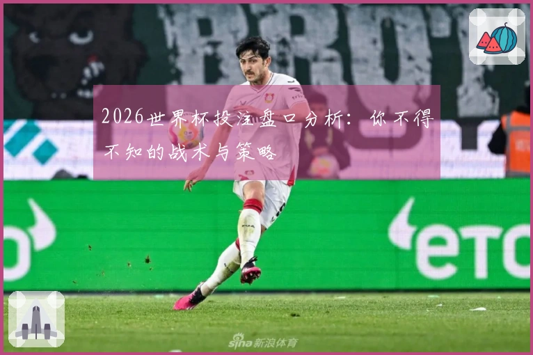 2026世界杯投注盘口分析：你不得不知的战术与策略