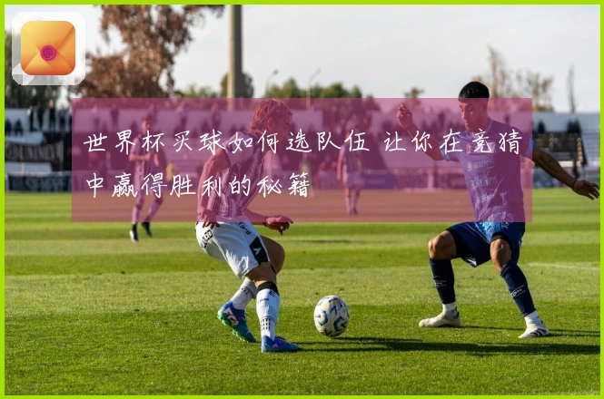 世界杯买球如何选队伍 让你在竞猜中赢得胜利的秘籍