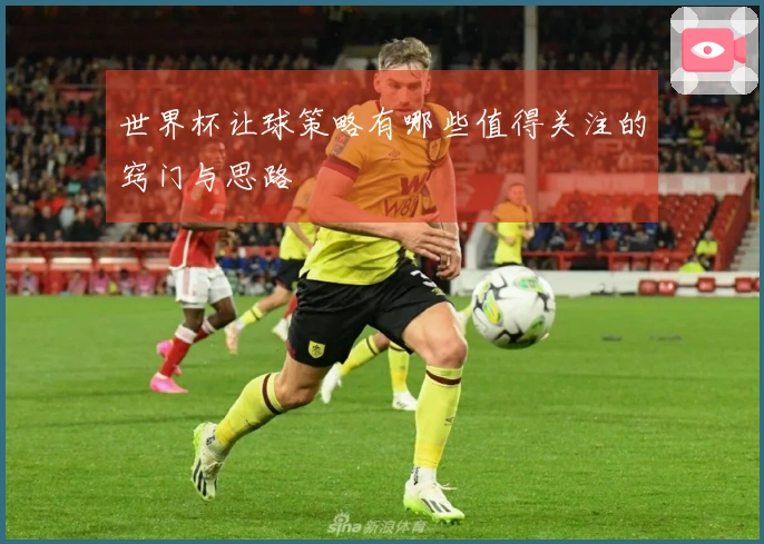 世界杯让球策略有哪些值得关注的窍门与思路