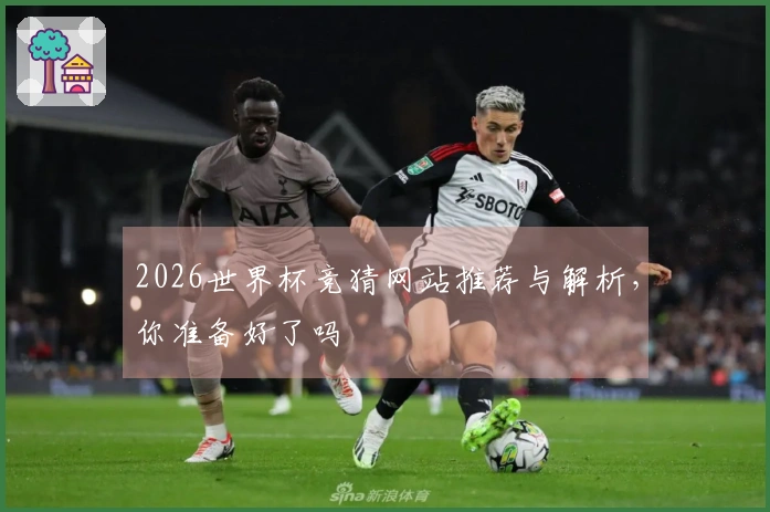2026世界杯竞猜网站推荐与解析，你准备好了吗