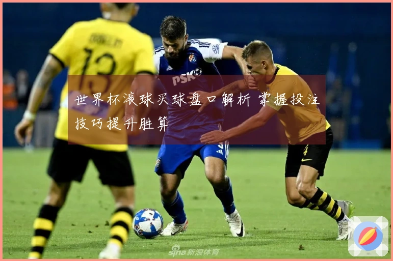 世界杯滚球买球盘口解析 掌握投注技巧提升胜算