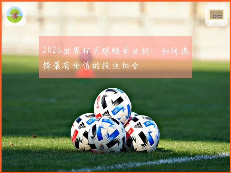 2026世界杯买球赔率分析：如何选择最有价值的投注机会