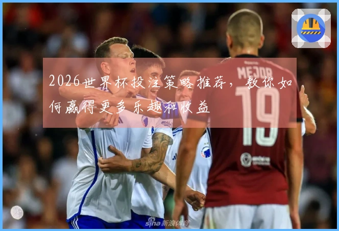 2026世界杯投注策略推荐，教你如何赢得更多乐趣和收益