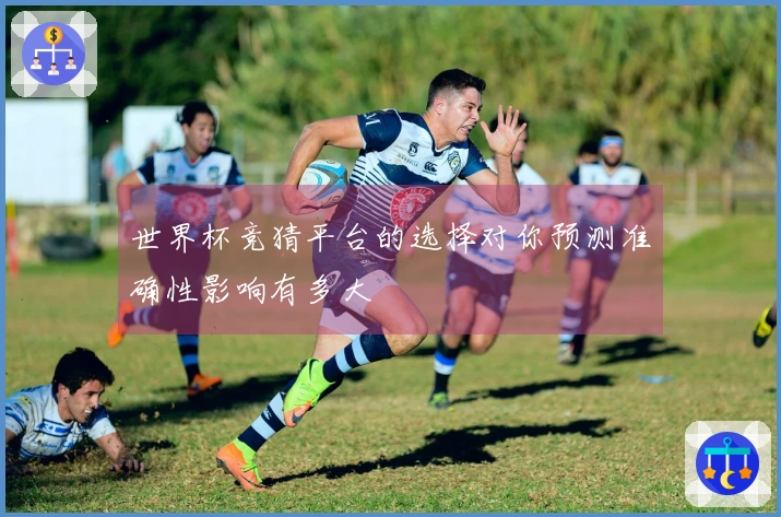 世界杯竞猜平台的选择对你预测准确性影响有多大