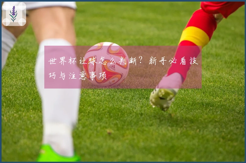 世界杯让球怎么判断？新手必看技巧与注意事项