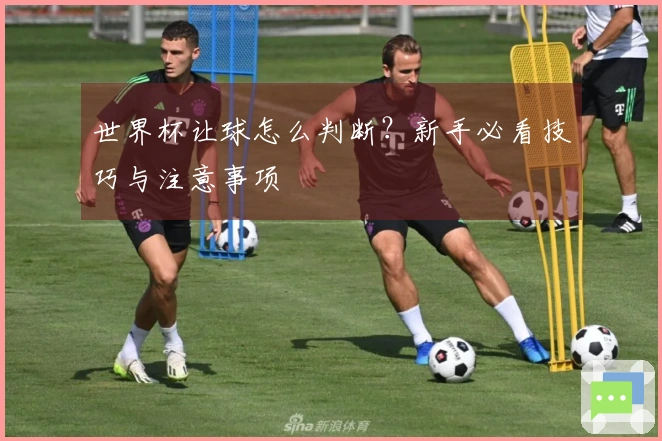 世界杯让球怎么判断？新手必看技巧与注意事项