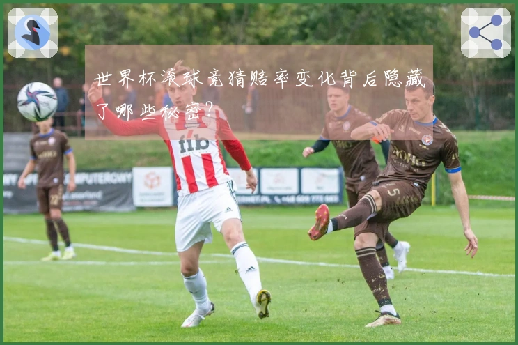 世界杯滚球竞猜赔率变化背后隐藏了哪些秘密？