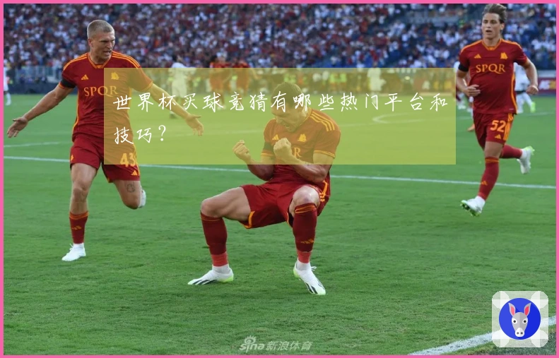 世界杯买球竞猜有哪些热门平台和技巧？