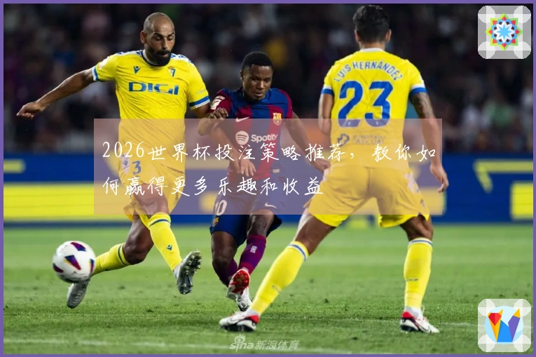 2026世界杯投注策略推荐，教你如何赢得更多乐趣和收益